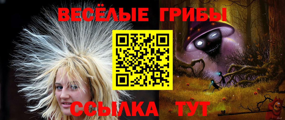 Галлюциногенные грибы GOLDEN TEACHER Арсеньев