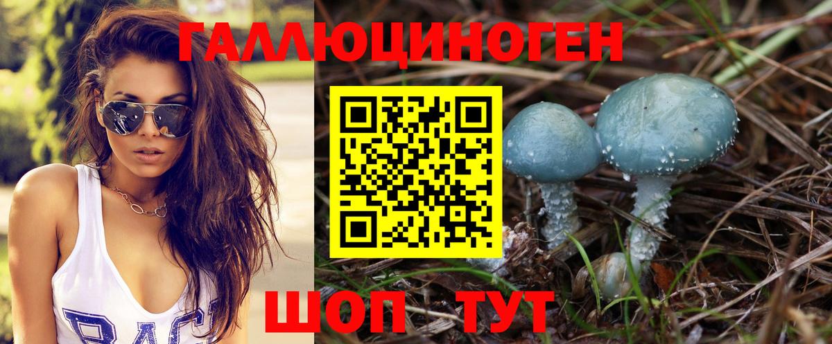 Псилоцибиновые грибы Cubensis  Галлюциногенные грибы Cubensis  Арсеньев  Вход с VPN 